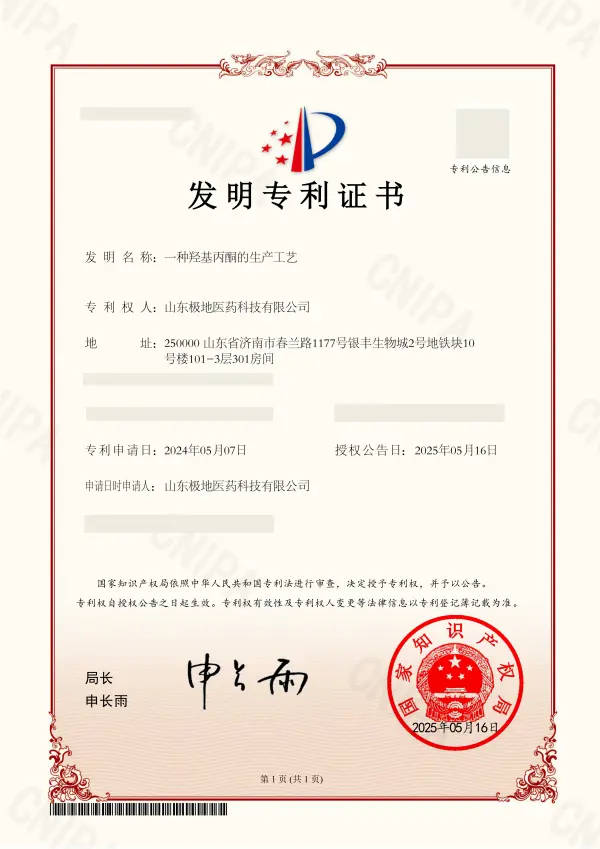 BuyChemic patent certificate
