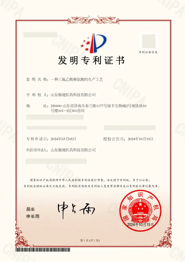 BuyChemic patent certificate