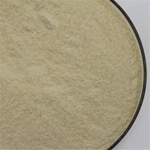 Oil Drilling Chemicals Xanthan Gum Biopolymer ISO 9001:2015 Yellow Powder for Drilling Auxiliary