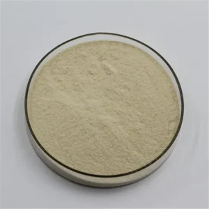 Xanthan Gum Oilfield Drilling Mud Additive with Anti-Collapse Wall Protection ISO 9001 Certified