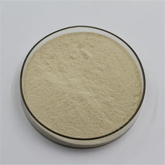 Rheological Control Agent Xanthan Gum for Drilling Fluid with ISO 9001:2015 Certification